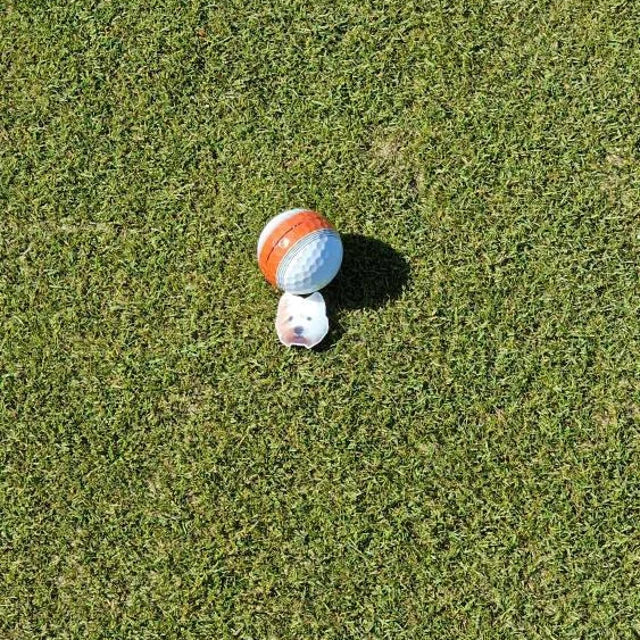 Custom Golf Marker